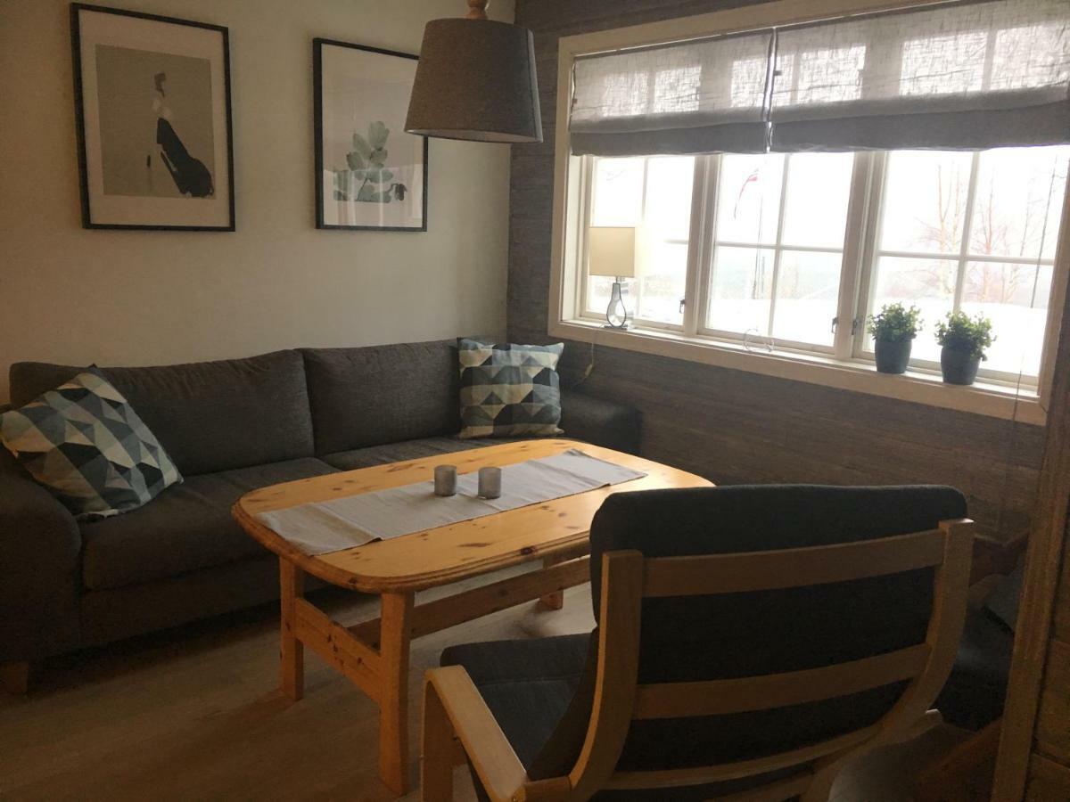 Oppdal Alpintun, Stolen Ovre - Ski In Ski Out Exteriér fotografie